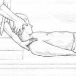 Искусство пальпации остеопата (19)